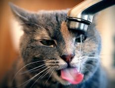 开云体育APP下载-体育激情跨越疆界，德甲争冠焦点战与灰熊硬仗取胜广东队的双重奏