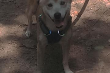 开云体育官网-格局裂变，雷霆青春风暴与布伦森王者之路，NBA权力版图正在重绘