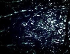 开云体育入口-布伦森41分击穿鹈鹕铁壁，森林狼露出冠军獠牙