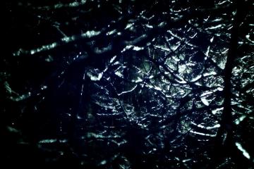 开云体育入口-布伦森41分击穿鹈鹕铁壁，森林狼露出冠军獠牙