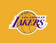 开云下载-引擎轰鸣与绿色狂想，F1揭幕战之夜，伊布如何以足球之名完成完美超车？