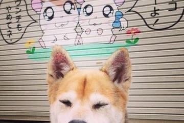 开云下载-生死时速！武切维奇打出生涯夜，开拓者加时险胜鹈鹕闯入总决赛