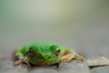 开云体育APP下载-德国全面压制尤文，孔德节奏掌控致胜