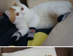 开云体育平台APP-坎特百场里程碑创纪录，英格兰末节发力险胜巴拉圭