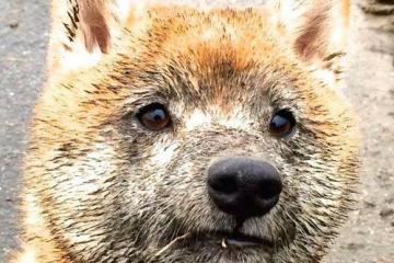 开云体育登录-绝杀与缠斗，当卡塔尔用坚韧刺穿墨西哥，佩德里用持续的刀刃重绘足球美学