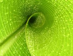 开云体育-跨界奇迹，威尔士一波带走南非，内马尔F1街道赛接管比赛