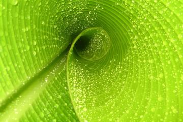 开云体育-跨界奇迹，威尔士一波带走南非，内马尔F1街道赛接管比赛