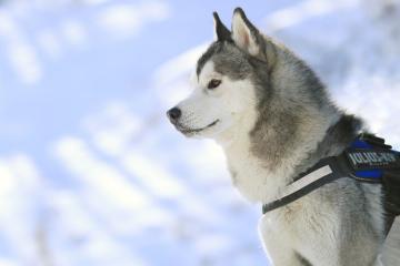 开云体育官网-C罗绝杀救赎，奥地利爆冷胜挪威，绿茵场上的激情与逆转