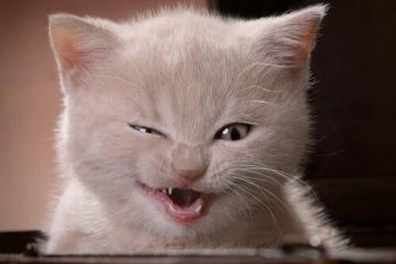 开云平台-铜墙铁壁下的绞杀战，巴拉圭如何用防守迷宫锁死乌拉圭，巴雷拉一战封神