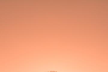 开云体育中国-王座坍塌夜，国王加冕时，霍勒迪—那个被低估的关键先生