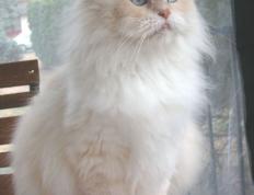 开云体育入口-克瓦拉茨赫利亚梅开二度难救主，中国队3-2逆转摩纳哥创纪录