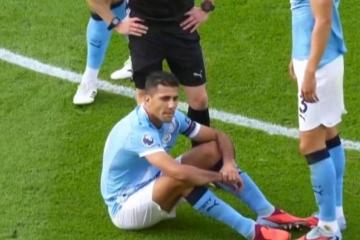 开云体育入口-欧冠半决赛之夜，罗德里戈关键制胜