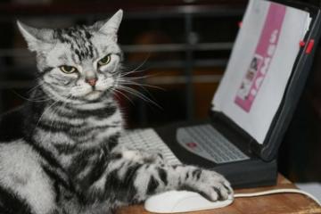 开云体育在线-本泽马压哨绝杀助曼联逆转德国霸主，关键先生闪耀欧冠之夜