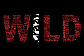 开云下载-冰冷客场，保罗与他的辽宁军魂，领袖的意义是唤醒沉睡的巨人