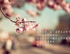 开云体育APP下载-哈利伯顿独舞夜，火箭屠深圳背后的真正杀器