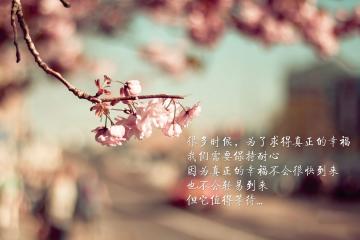 开云体育APP下载-哈利伯顿独舞夜，火箭屠深圳背后的真正杀器