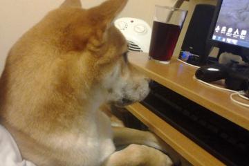 开云官网-决胜时刻，爱德华兹的铁血绝杀与詹姆斯导演的德比之夜