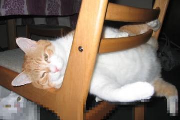 开云APP-雷霆决胜局横扫湖人，利拉德全面数据缔造传奇