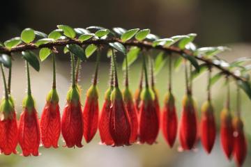 开云体育在线-公牛逆袭太阳！东契奇40+三双燃尽最后一丝天赋