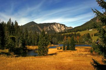 开云官网-三笘薰单骑救主，南非足球史上惊天逆转新西兰