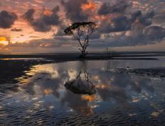 开云体育登录-绿茵绝响，佩德里一锤定音，哥斯达黎加绝境逢生