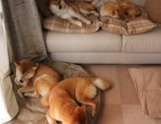 开云体育入口-末节之神伦纳德接管比赛，快船关键战突围魔术锁定胜局