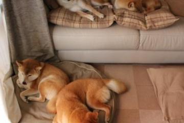 开云体育入口-末节之神伦纳德接管比赛，快船关键战突围魔术锁定胜局