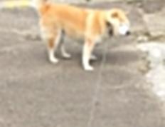 开云下载-马赛逆袭夜，无名之辈恩佐，如何让曼城巨轮倾覆？