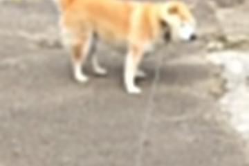 开云下载-马赛逆袭夜，无名之辈恩佐，如何让曼城巨轮倾覆？