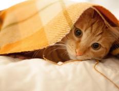 开云体育下载-托尼先生，请收下冰岛的蓝湖与极光