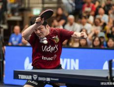 开云平台-关于瑞典乒乓球队爆冷德国乒乓球队，樊振东惊艳世界的信息