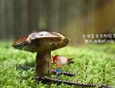 开云体育官方网站-冰与火的协奏，罗德里戈节奏之刃如何撕裂哥斯达黎加中场的丝绒防线