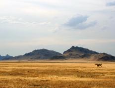 开云体育入口-乔治节奏完全掌控，篮网强势晋级力克辽宁队