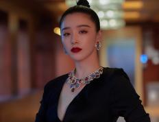 开云体育app-蛰伏巨兽终觉醒，武切维奇斩落雷霆