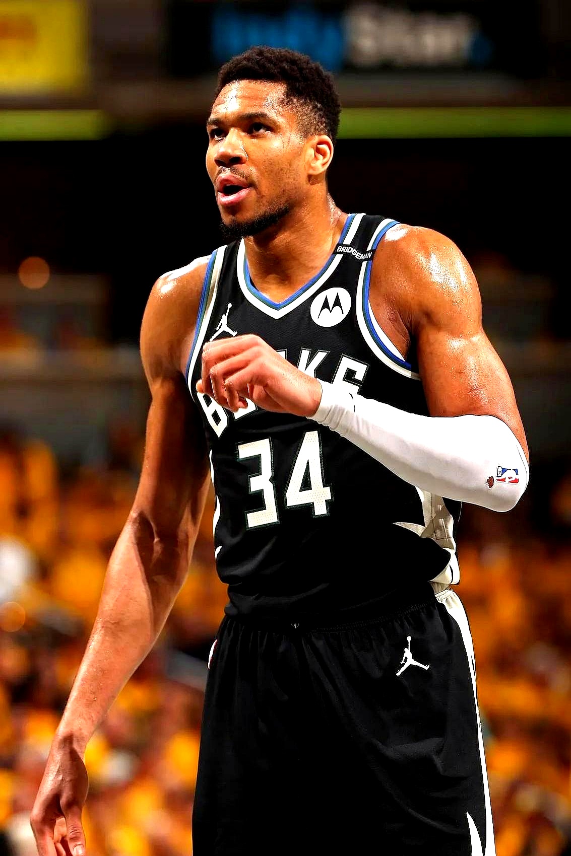 开云体育官方网站-关于雄鹿完胜灰熊，字母哥全方位表现力压库里的信息