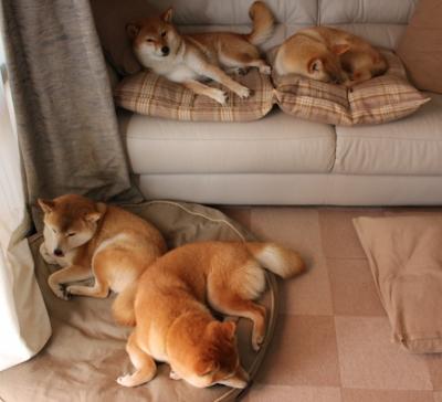 开云体育登录-吉林队强势晋级掀翻猛龙，杜兰特赛后评分拉满引热议