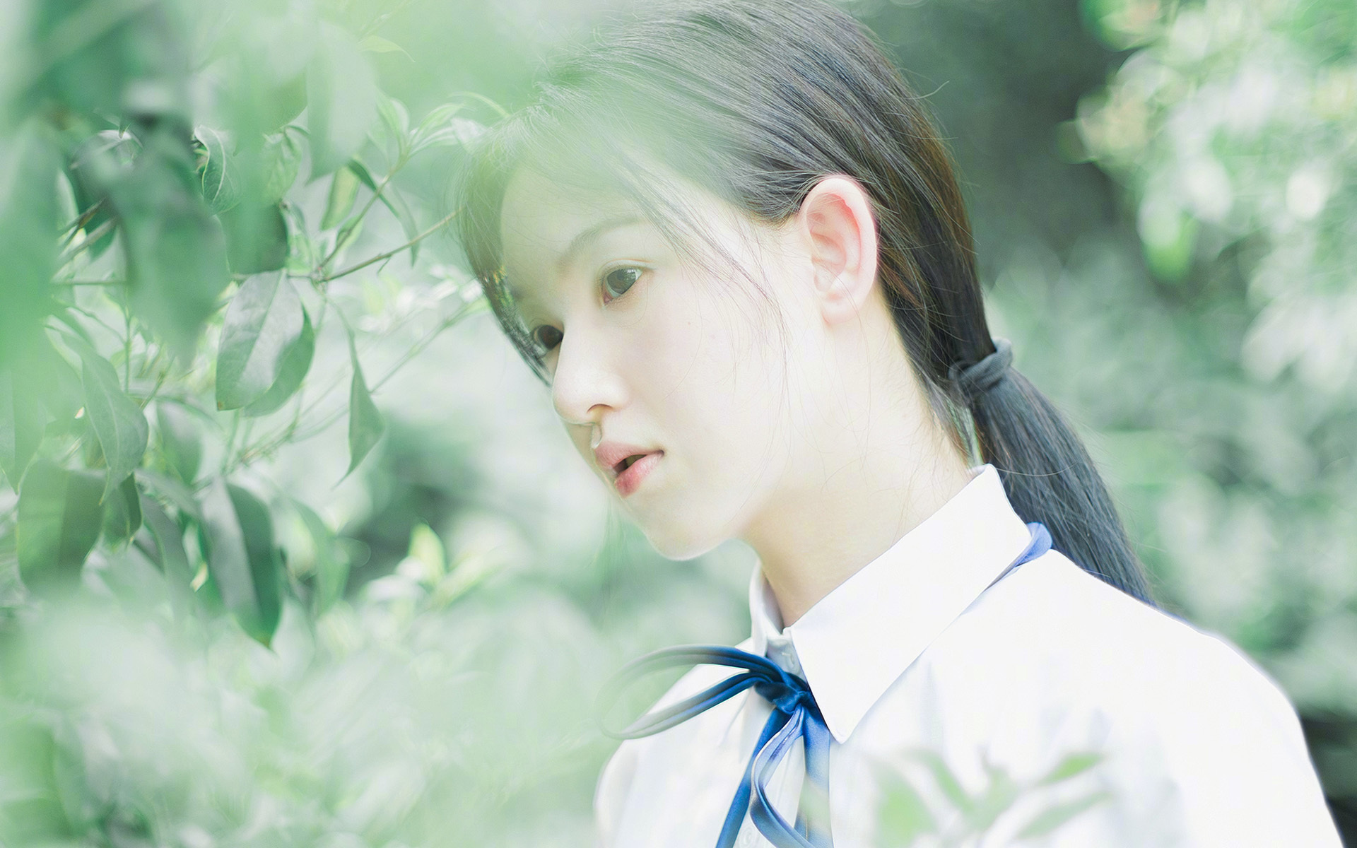 开云体育app-一人之战与一队之盾，从利拉德到吉林，篮球世界的双面镜