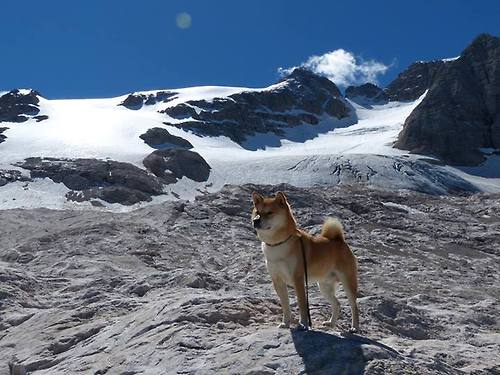 开云体育在线-打破规则的表象，当南非速胜改写抢七剧本