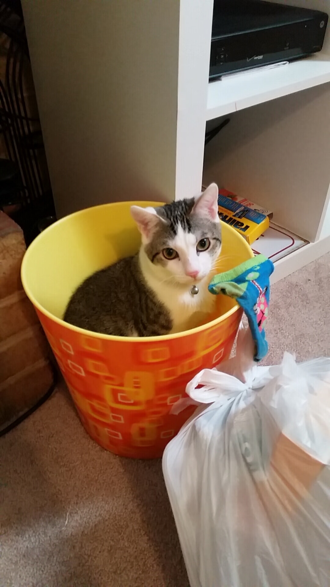 开云体育入口-浙江队淘汰赛力克火箭,切特关键先生定乾坤