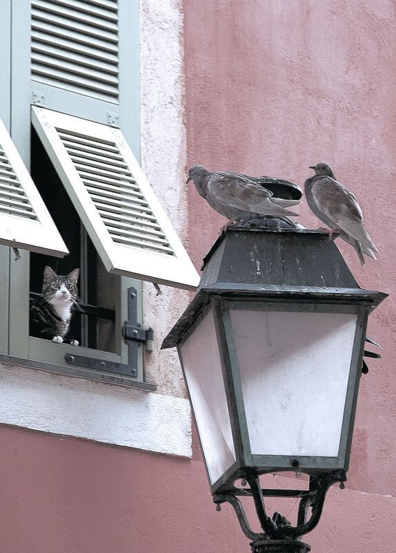 开云官网-哈登生涯之夜闪耀，快船关键战力克步行者突围