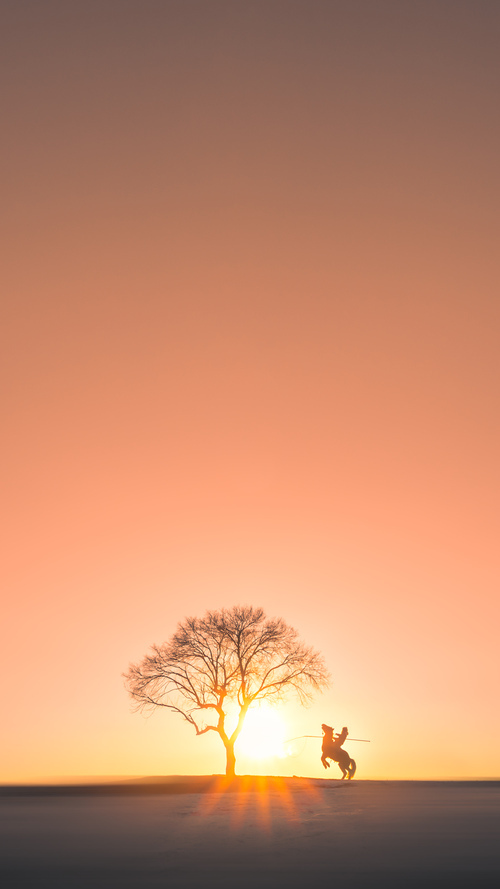 开云体育中国-王座坍塌夜,国王加冕时,霍勒迪—那个被低估的关键先生