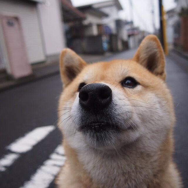 开云官网-亚洲风暴!广厦掀翻老鹰,浓眉定江山成关键先生