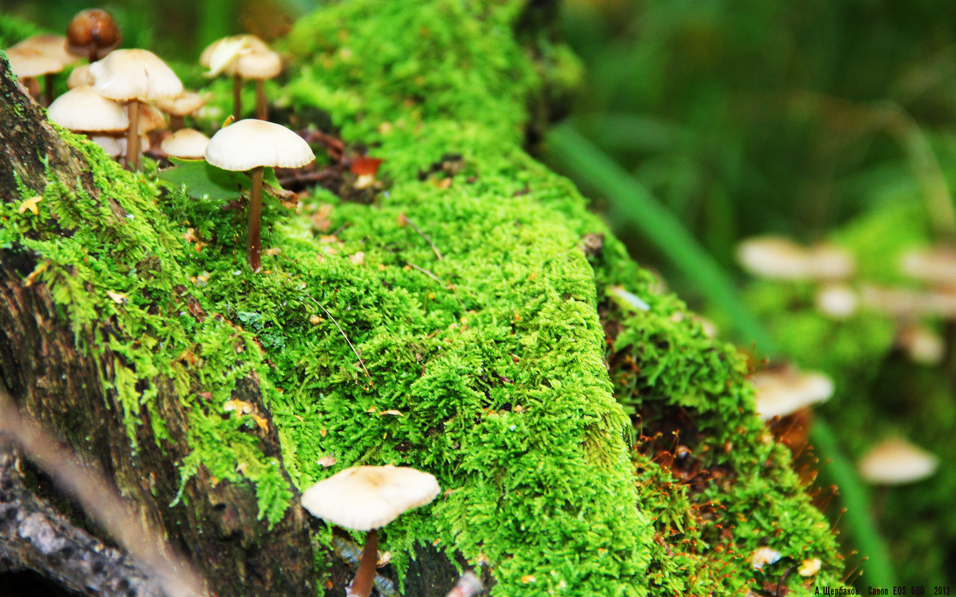 开云体育平台APP-塞内加尔收割中国防线,阿克化身关键先生定乾坤