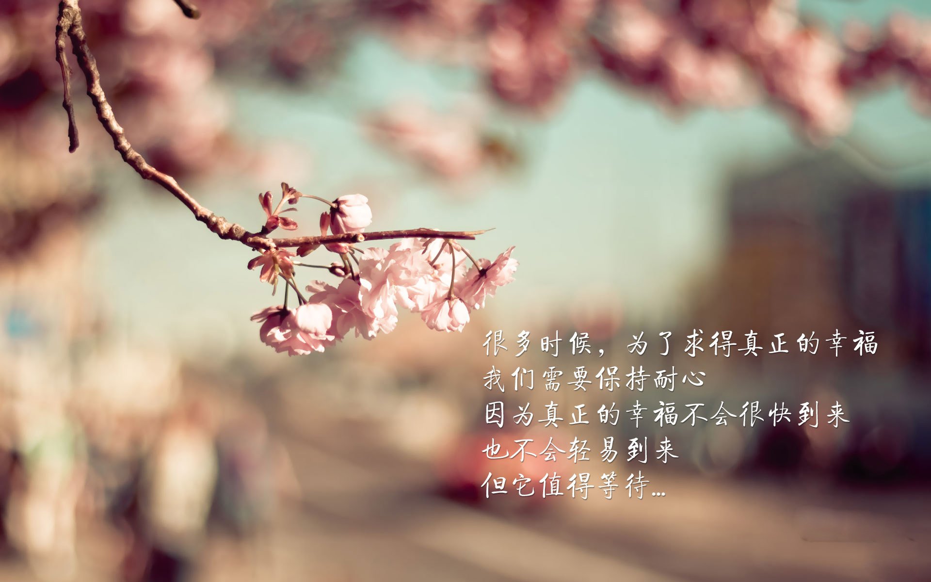 开云体育APP下载-哈利伯顿独舞夜，火箭屠深圳背后的真正杀器