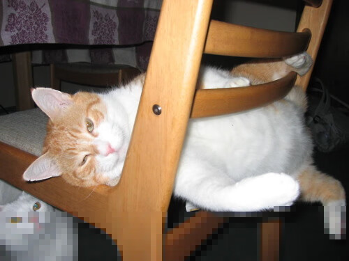 开云APP-雷霆决胜局横扫湖人，利拉德全面数据缔造传奇