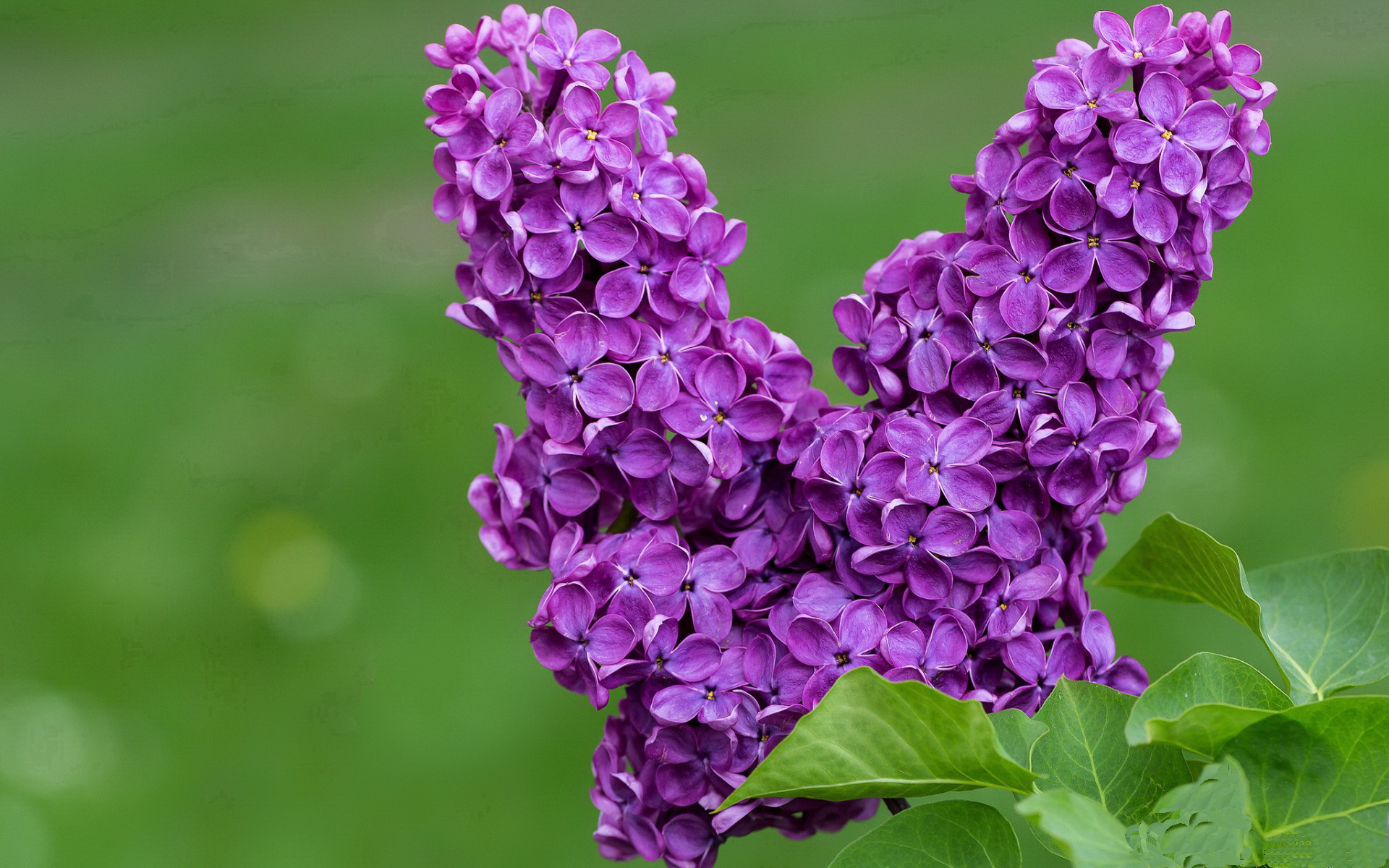 开云体育下载-赛场星群，从圣西罗到天山，人类意志的宇宙回响