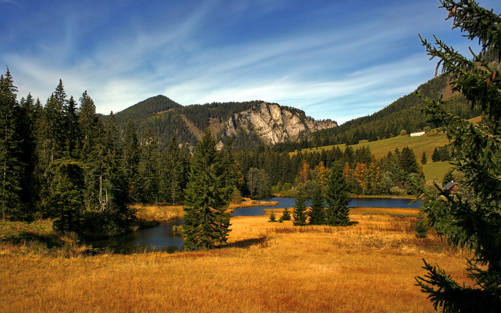 开云下载-赛场艺术还是暴力美学?莫兰特用统治级表现诠释新时代控卫定义